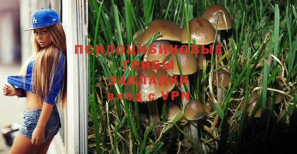 дурь Алзамай