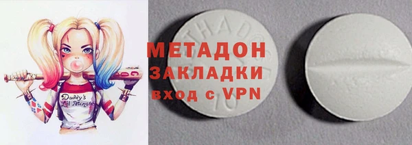 индика Новодвинск