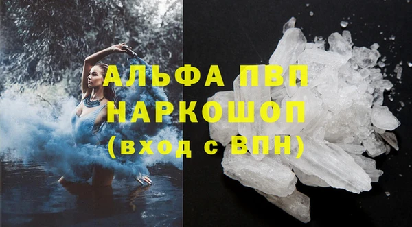 индика Новодвинск