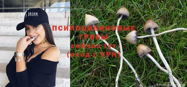 дурь Алзамай