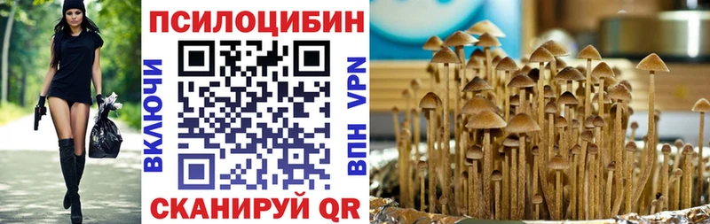 купить   Нальчик  Галлюциногенные грибы прущие грибы 