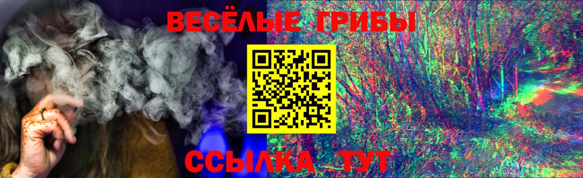 Псилоцибиновые грибы Psilocybine cubensis Нальчик