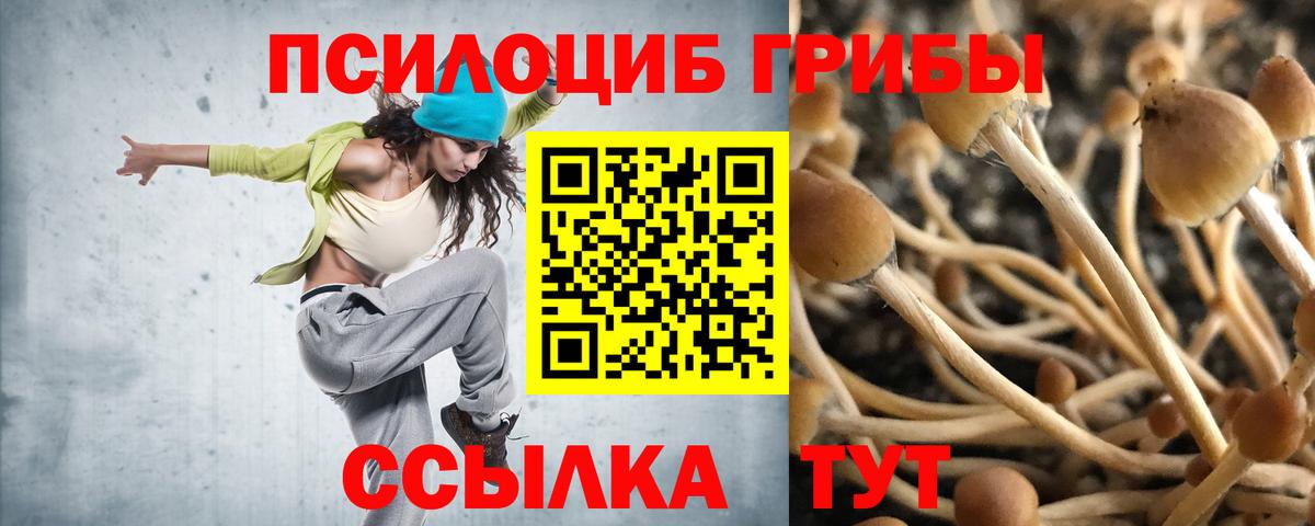 Псилоцибиновые грибы Psilocybe  Вход с VPN  Нальчик 