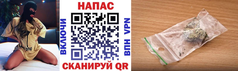 Шишки марихуана гибрид блэк спрут ССЫЛКА Нальчик где купить наркотик